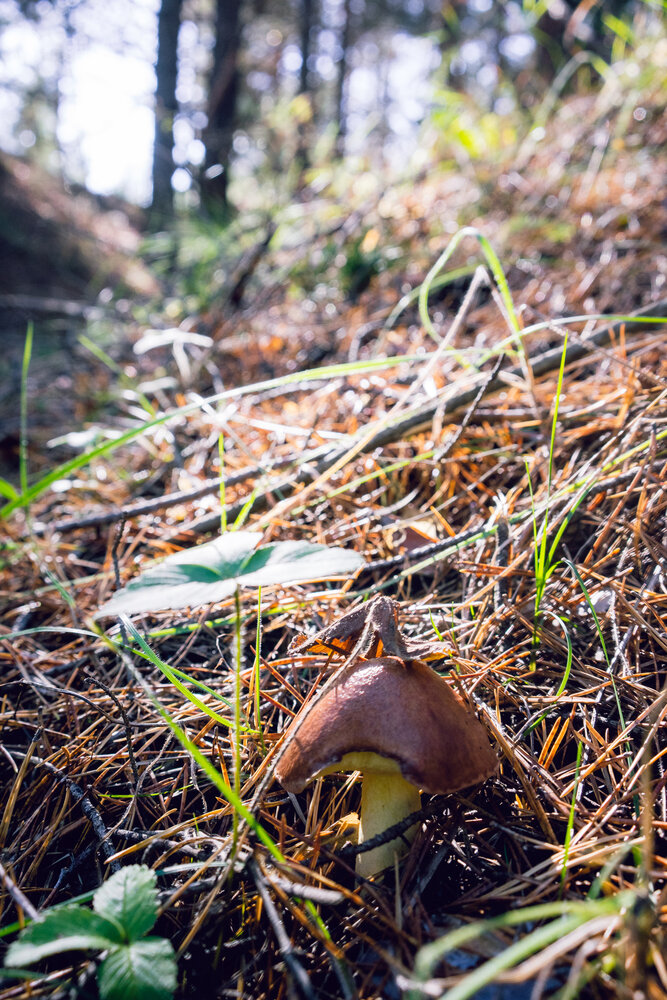 Photograph by Ольга Белопухова