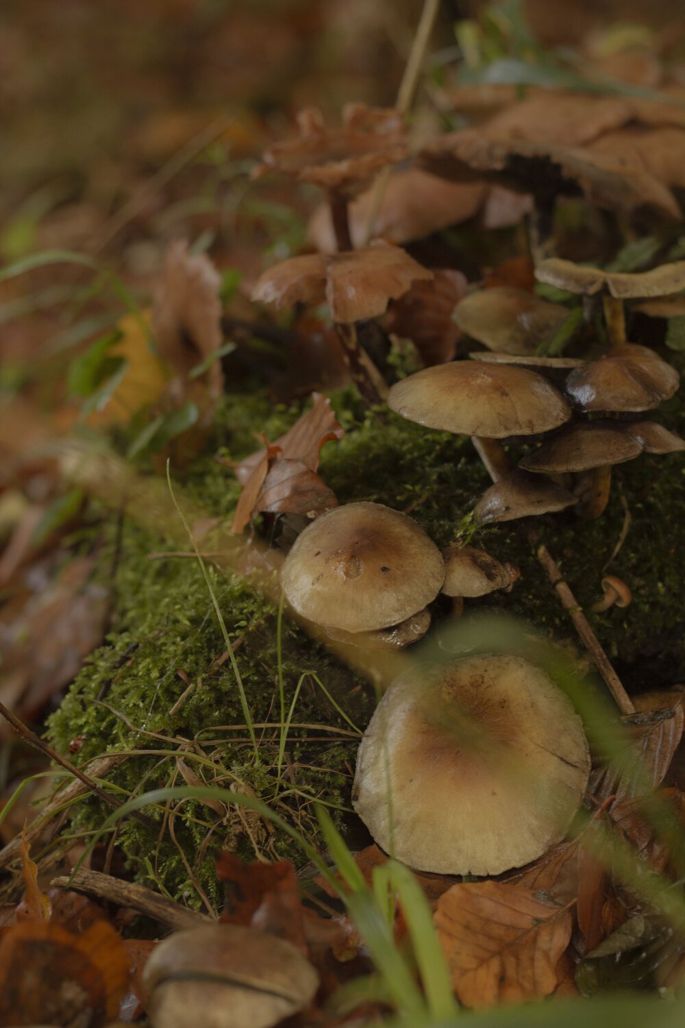 Photo #13942389
