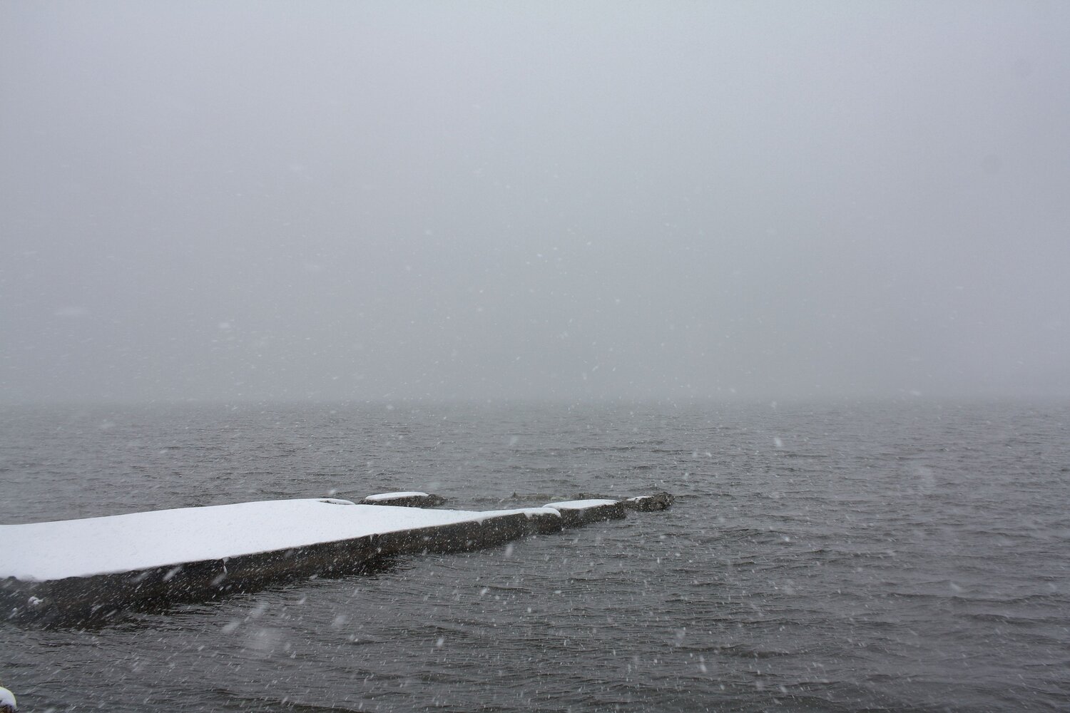 Photo #13942517
