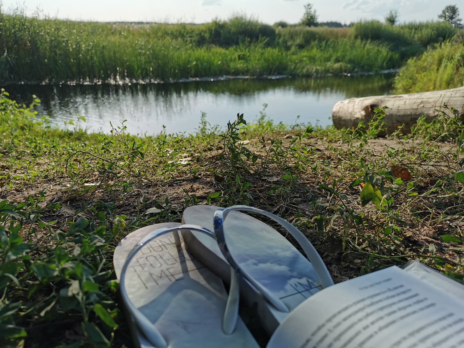 Photo #13942601
