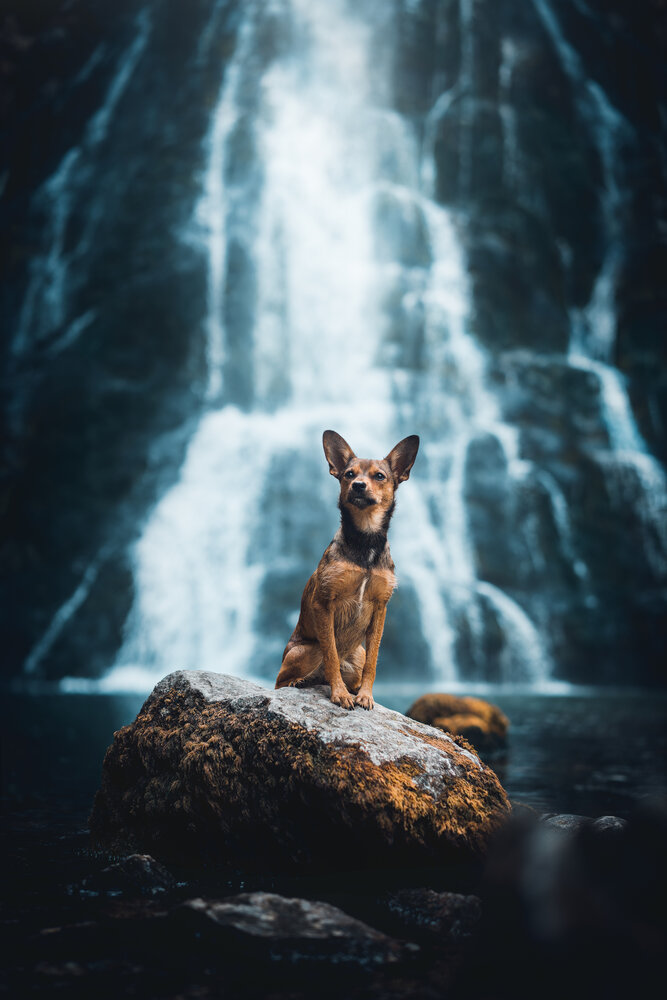 Duchess of Water Realm