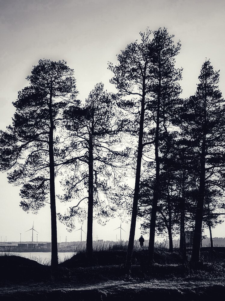 Photograph by Ekaterina Krol