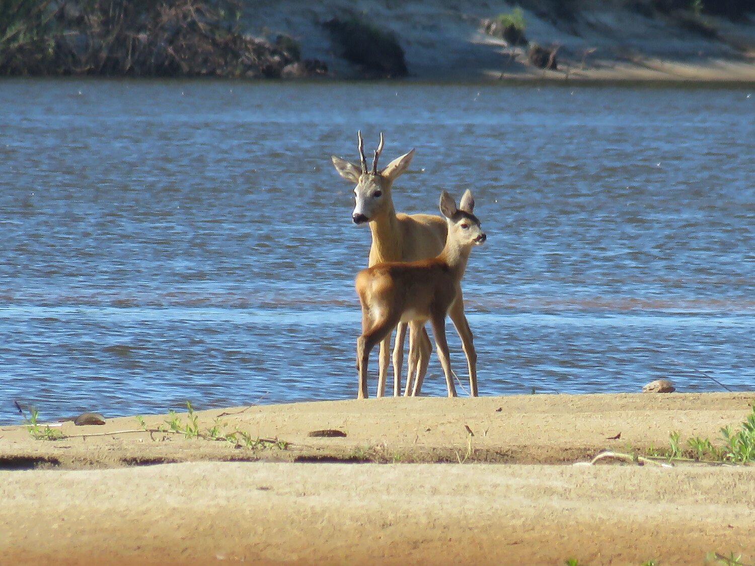 Photo #13942888