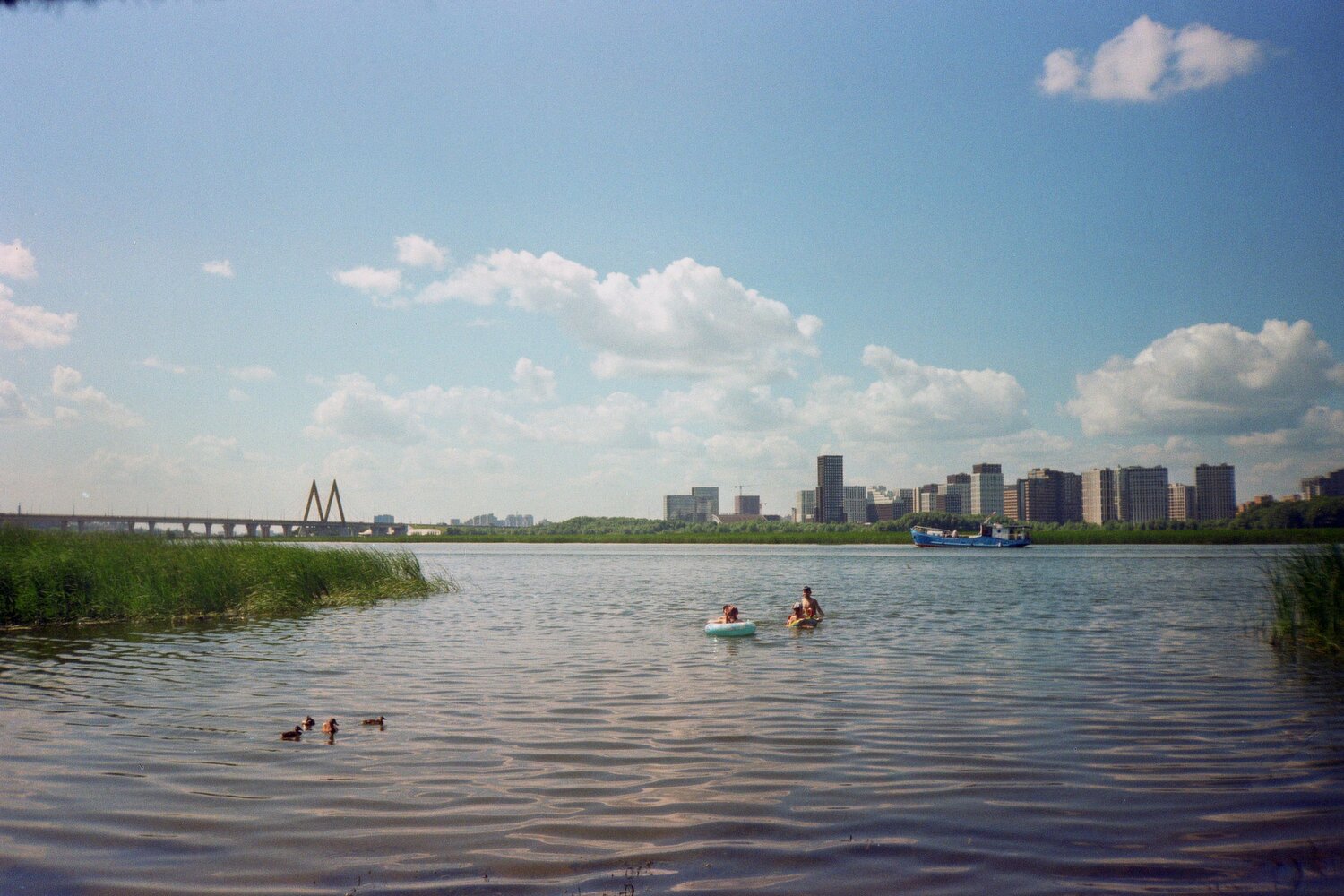 Photo #13943108