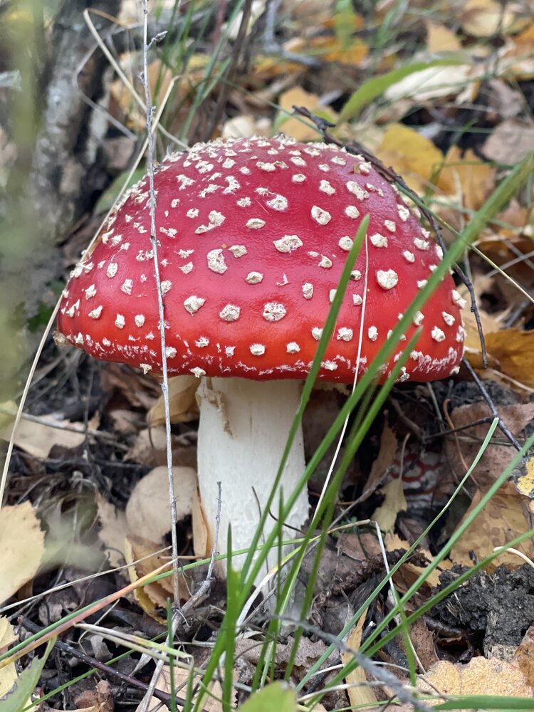 Photograph by Ольга Меладзе