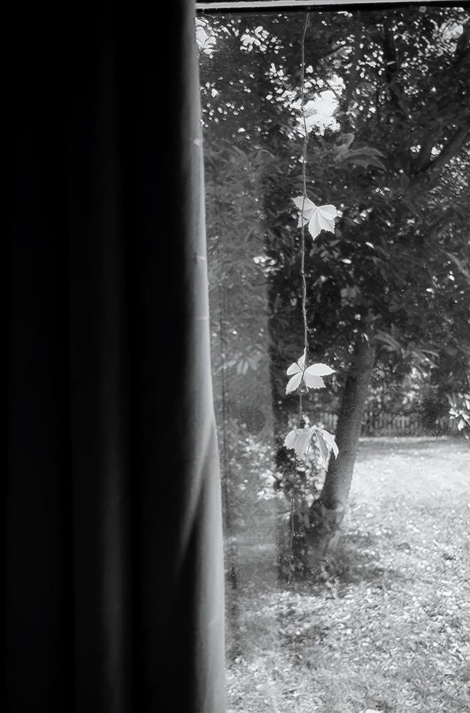 Silent Window