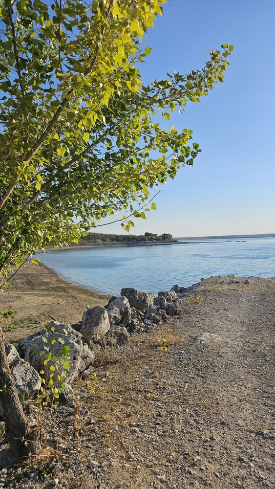 Photograph by Alexandra Pîntea