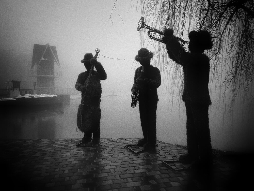 Photograph by Кривенко Владимир