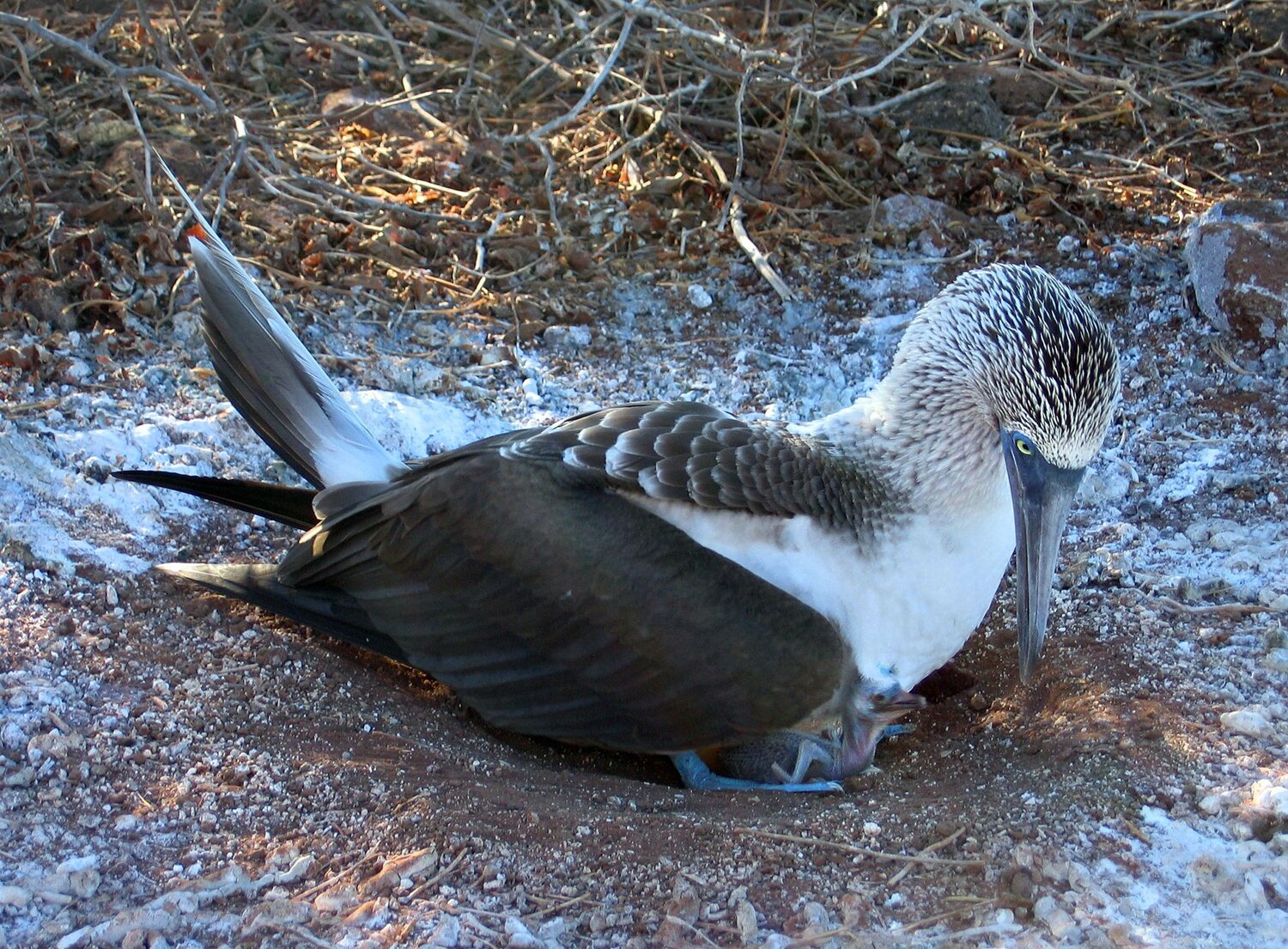 Photo #13943632