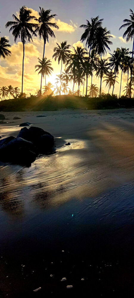 Final de tarde