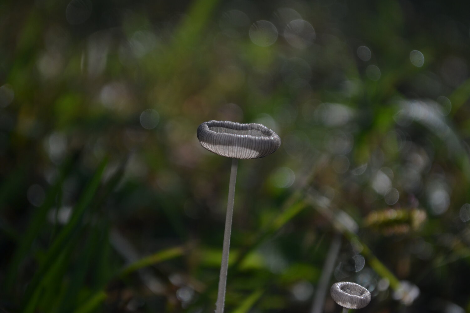 Photo #13943779