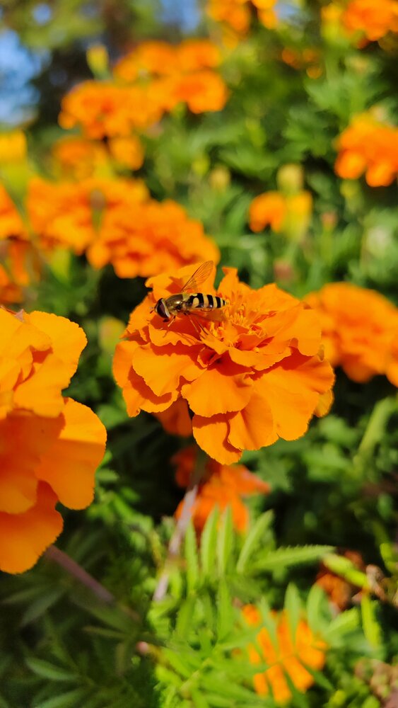 Photograph by Юрий Сидоркин