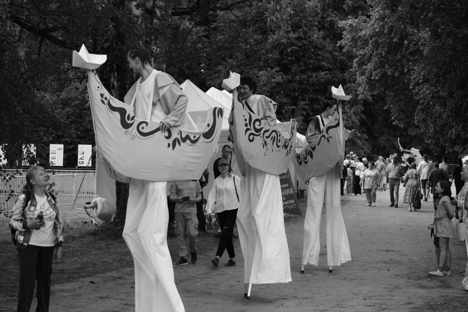 Photo #13943793