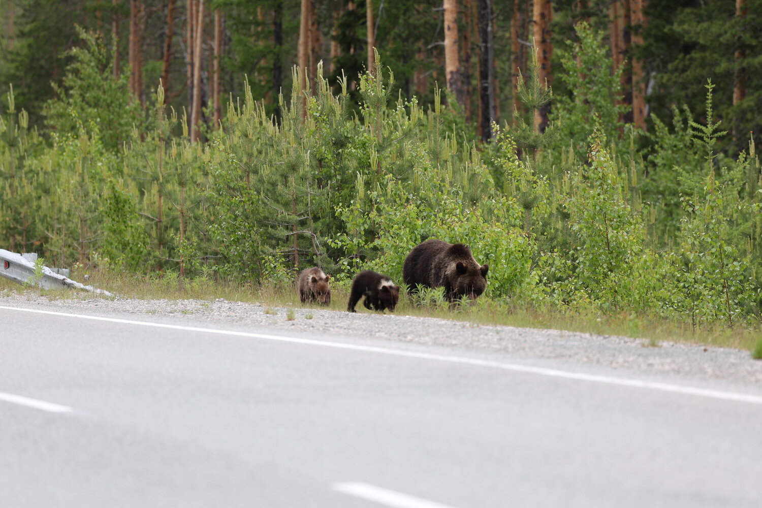 Photo #13943830