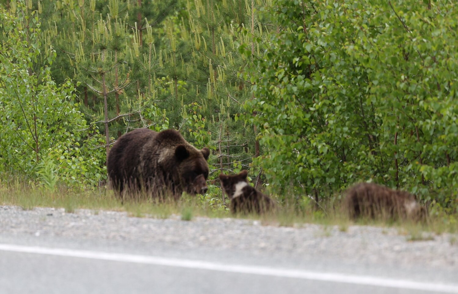 Photo #13943833