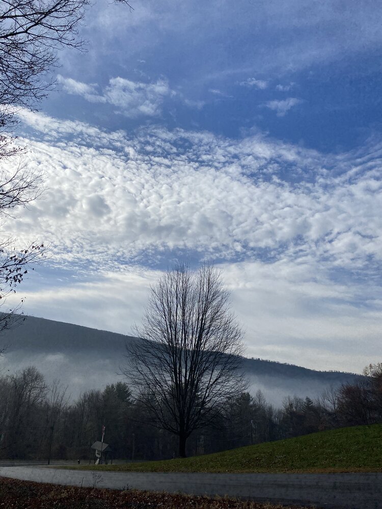Crisp Autumn Blue