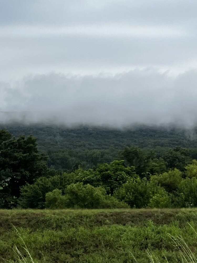Realm of Mist