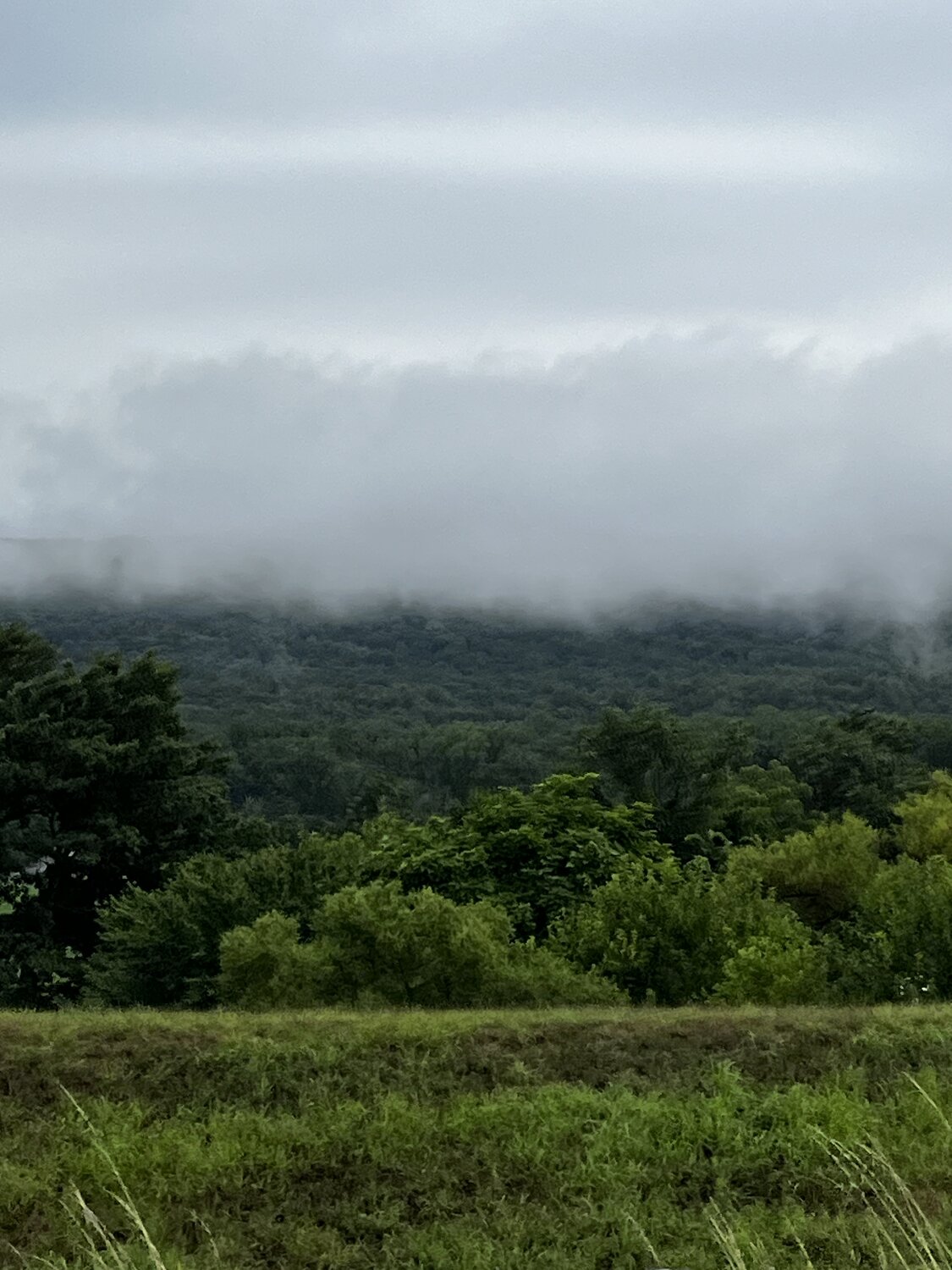 Realm of Mist