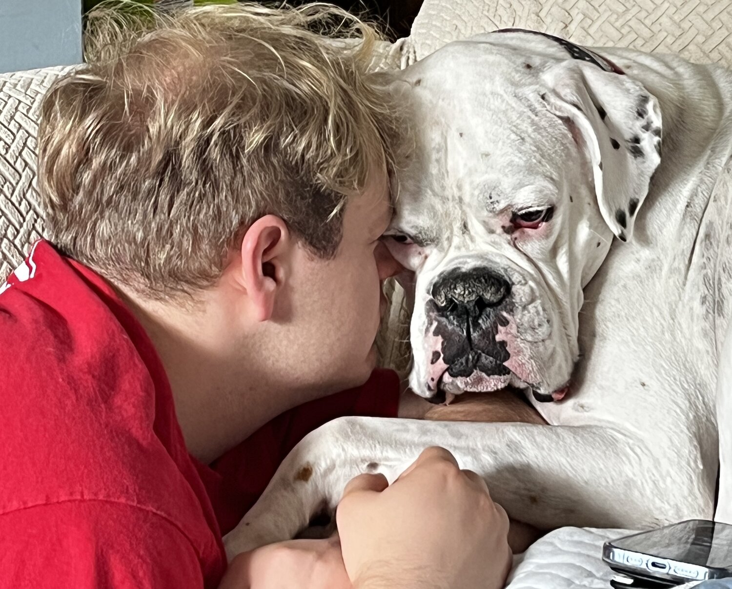 Man’s best friend, eye to eye