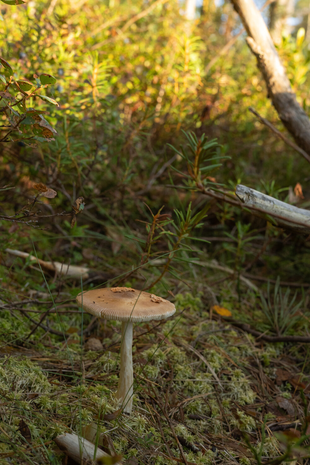 Photo #13944249