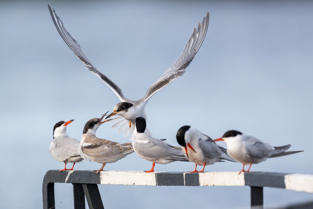 Photograph by Александр Белов