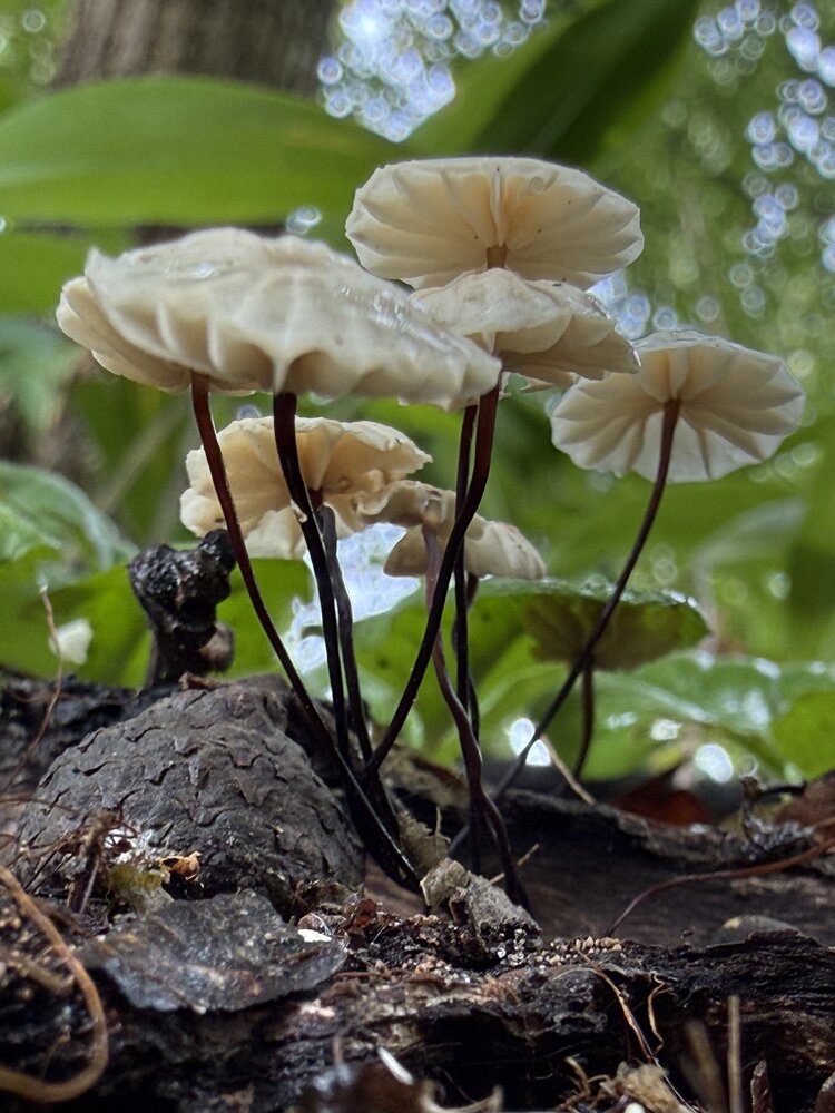 Photograph by Ольга Осинина