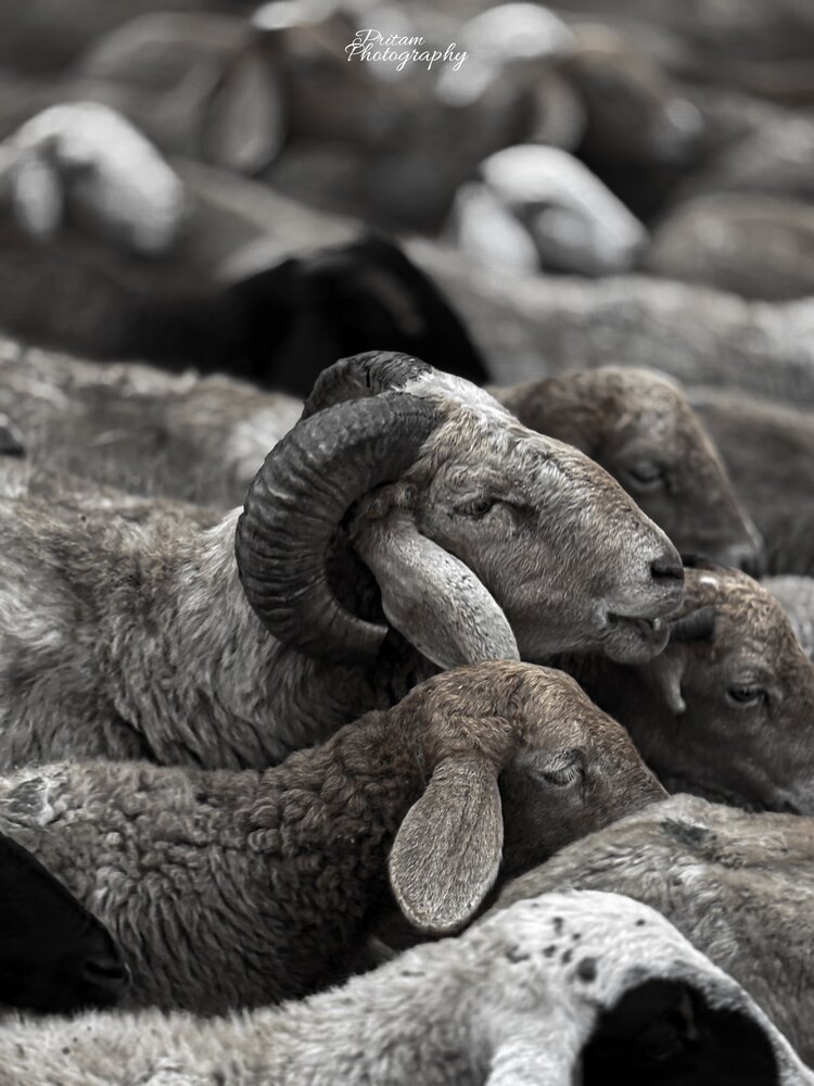 In silence, we belong