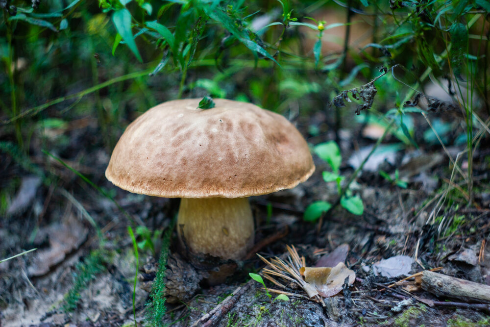 Photograph by Дмитрий Кашицин