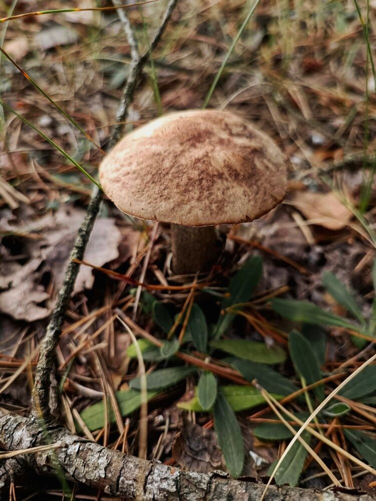 Photograph by Елена Пархоменко