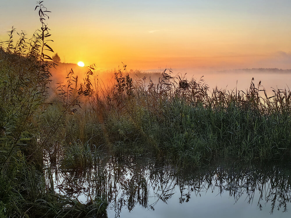 Photograph by Татьяна Мишустина