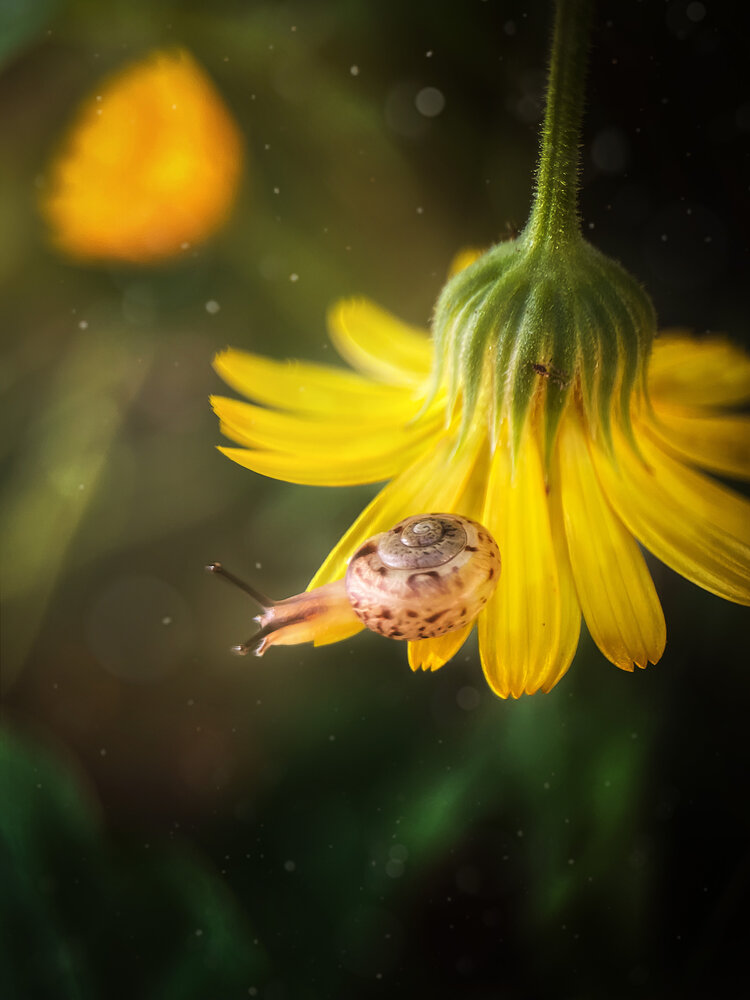 Photograph by Екатерина Валиуллина