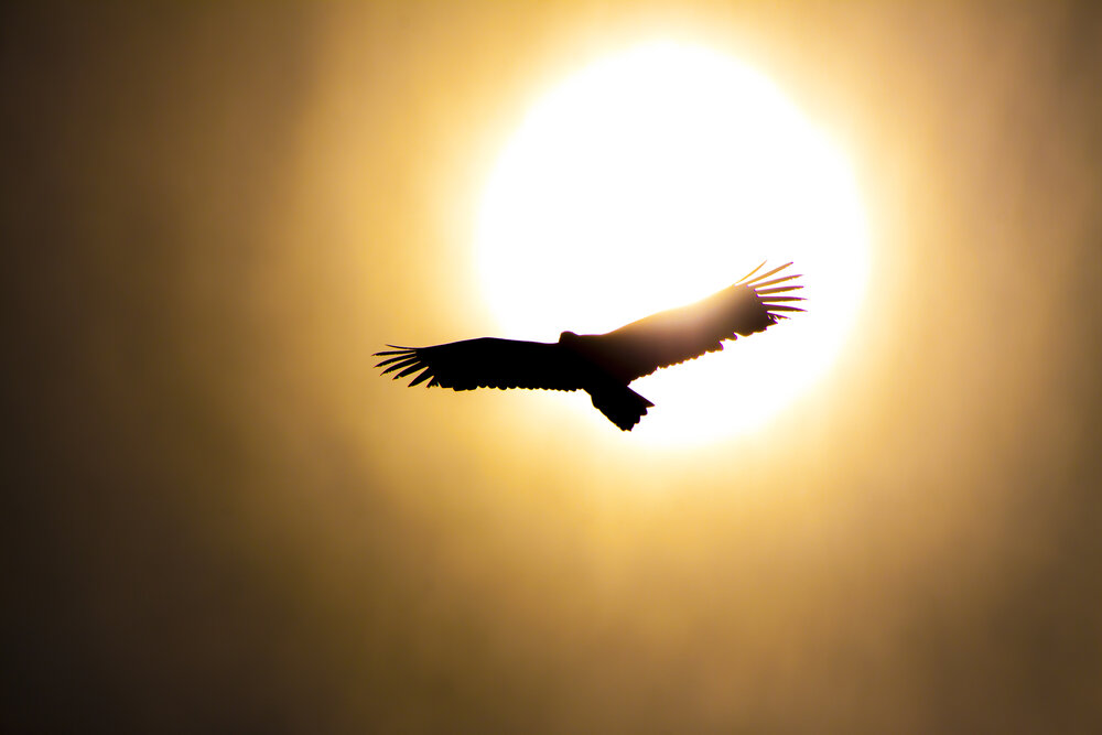 Photograph by Андрей Михайлов