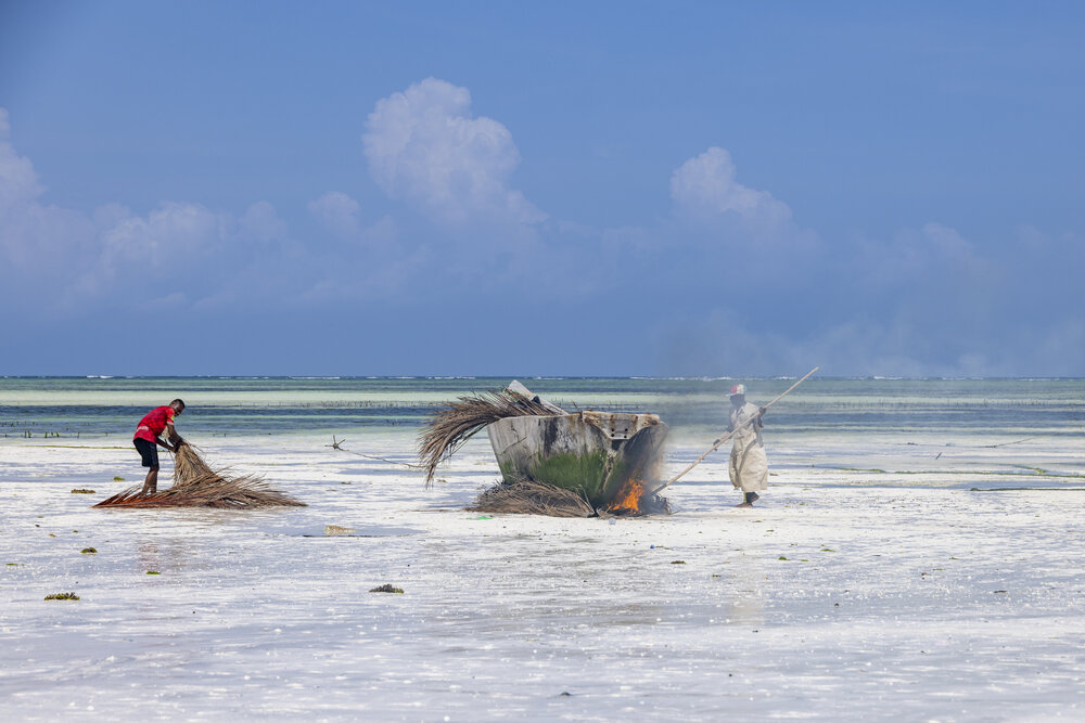 Photograph by Ellen Lichtenheldt