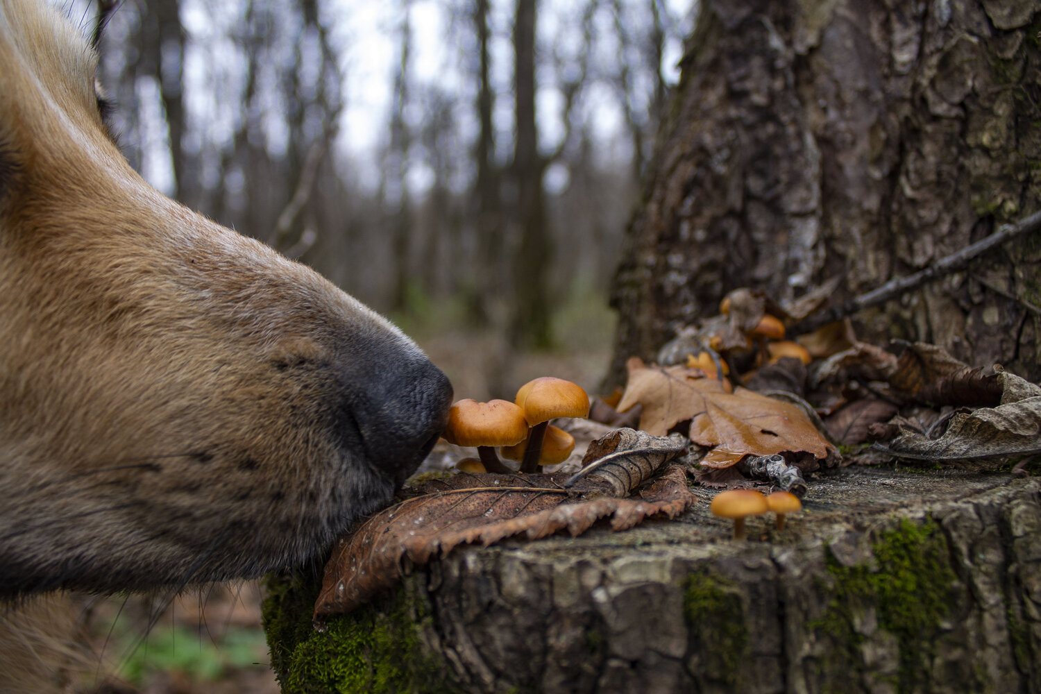 Photo #13945212