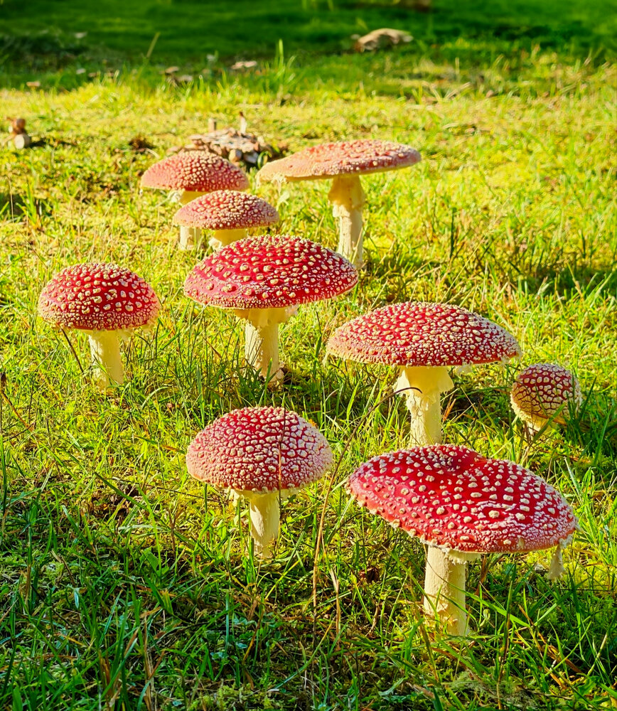 Photograph by OLga Piirainen