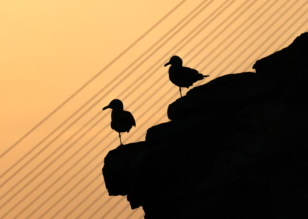 Photograph by Щеголькова Инна