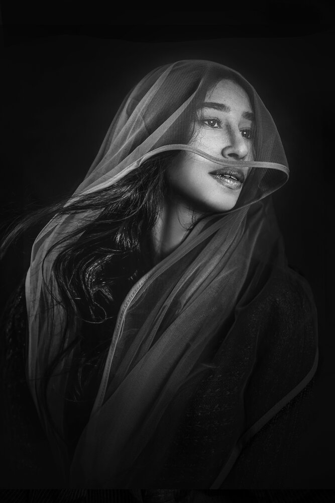 Veil of Silence