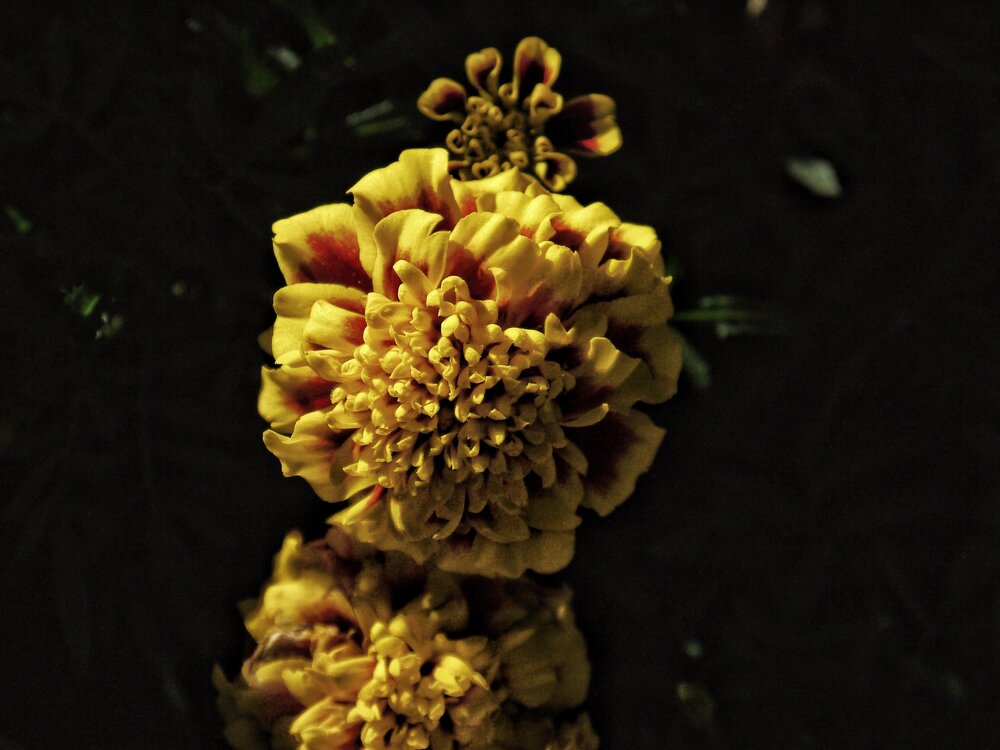 Photograph by Павел Стаценко