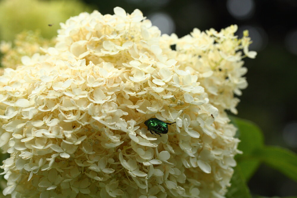 Photograph by Наталья Мутова
