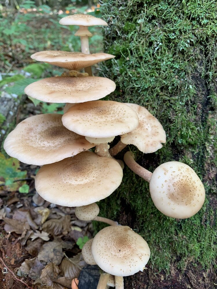Photograph by Ирина Шпаковская