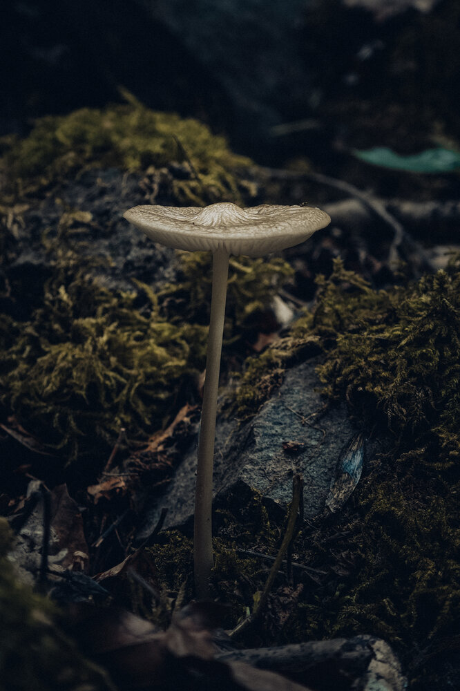 Photo #13945594
