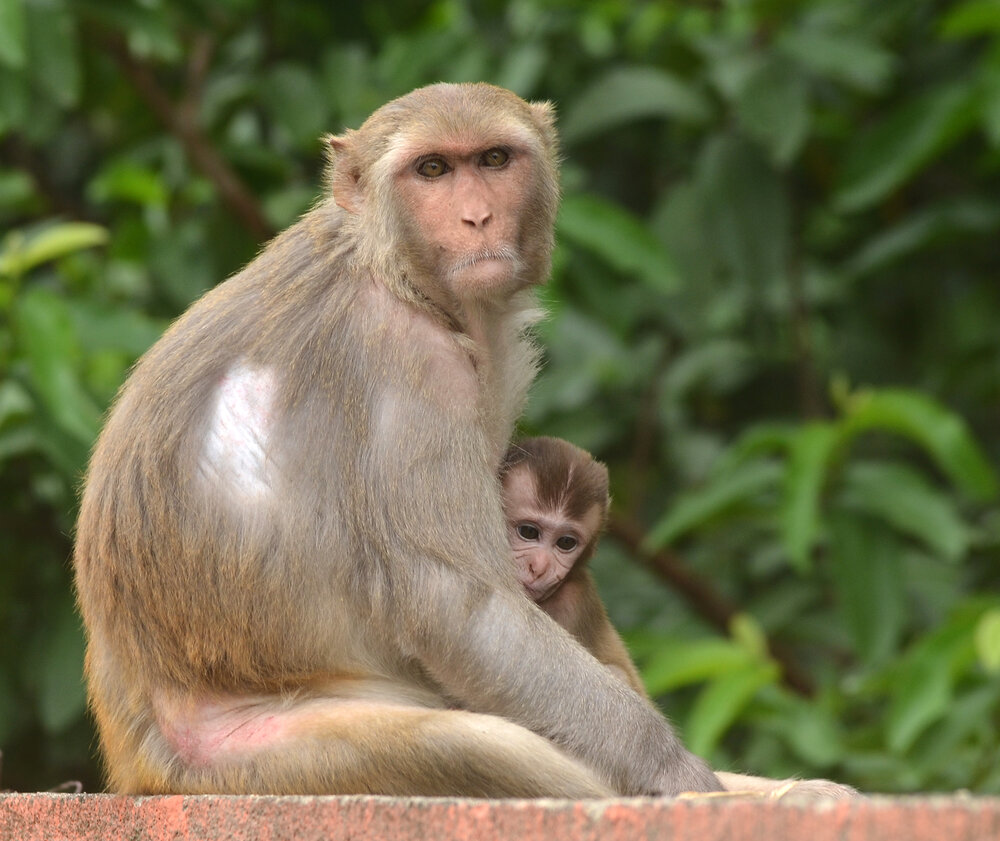 Photograph by Rajesh Kumar
