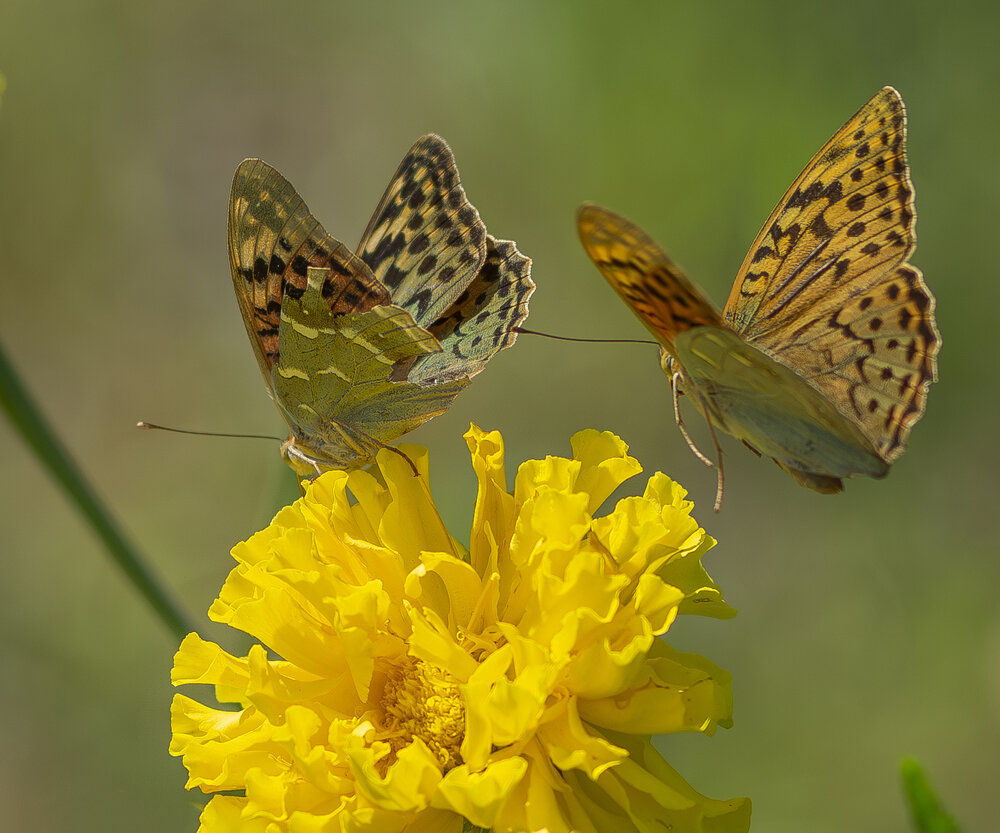Photograph by Дмитрий Кетов