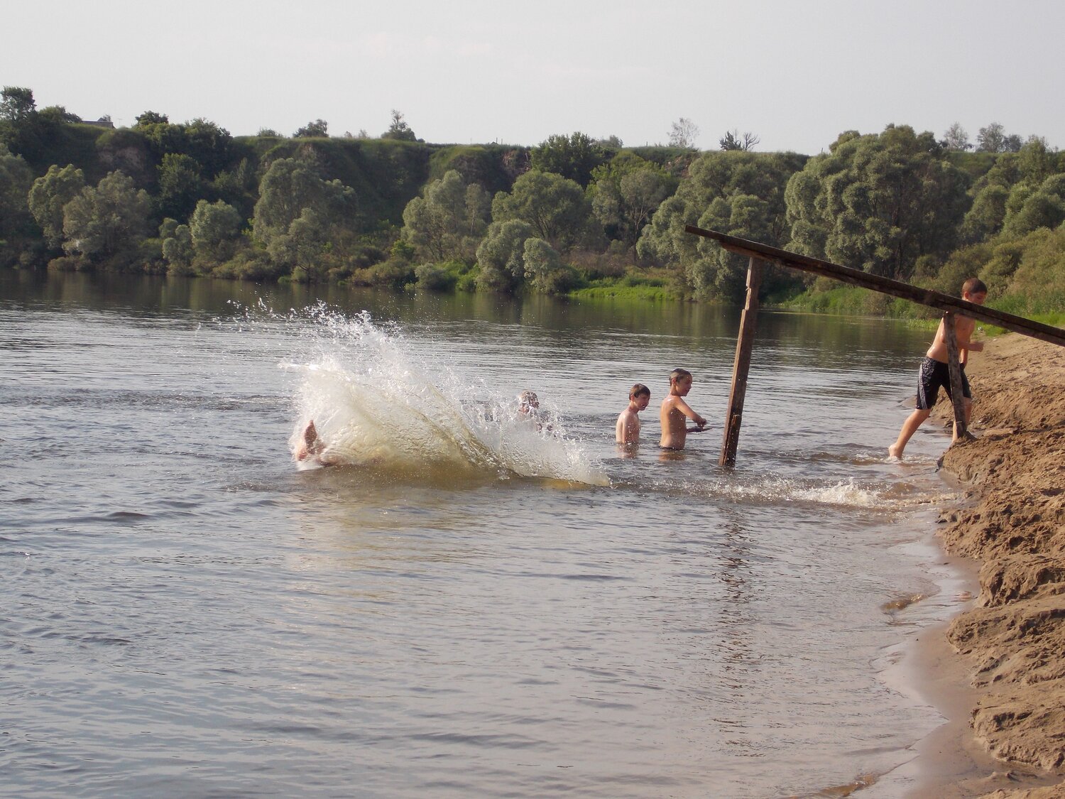 Photo #13945847