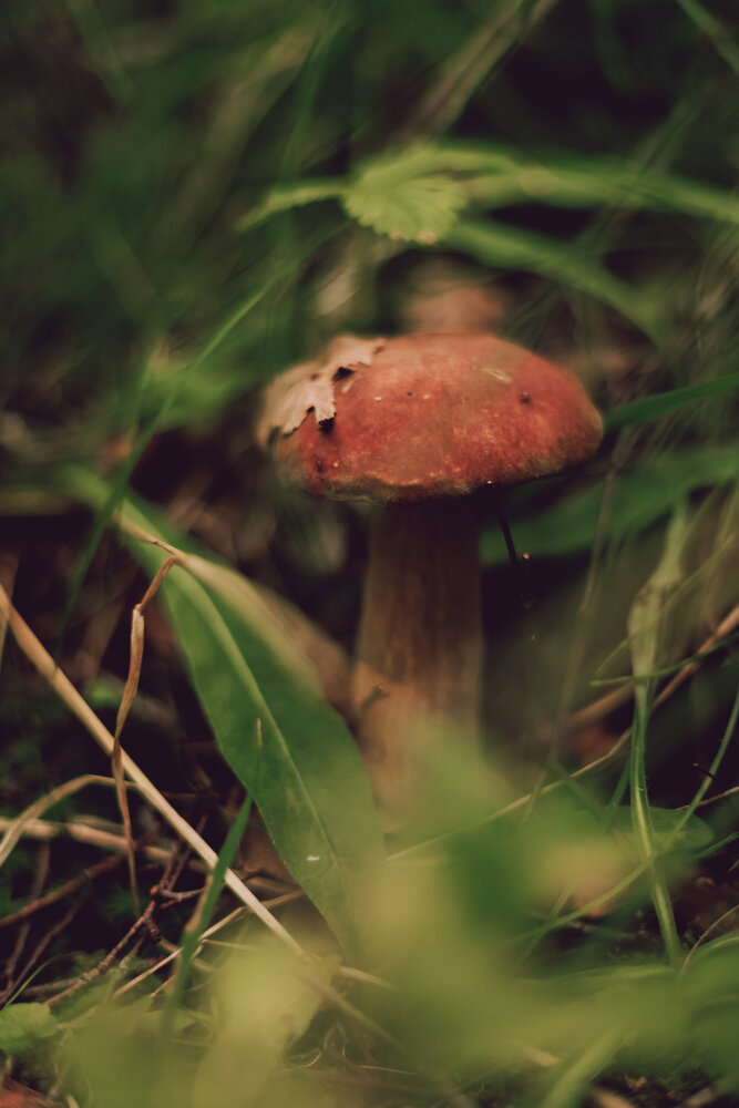 Photograph by Марина Слепова