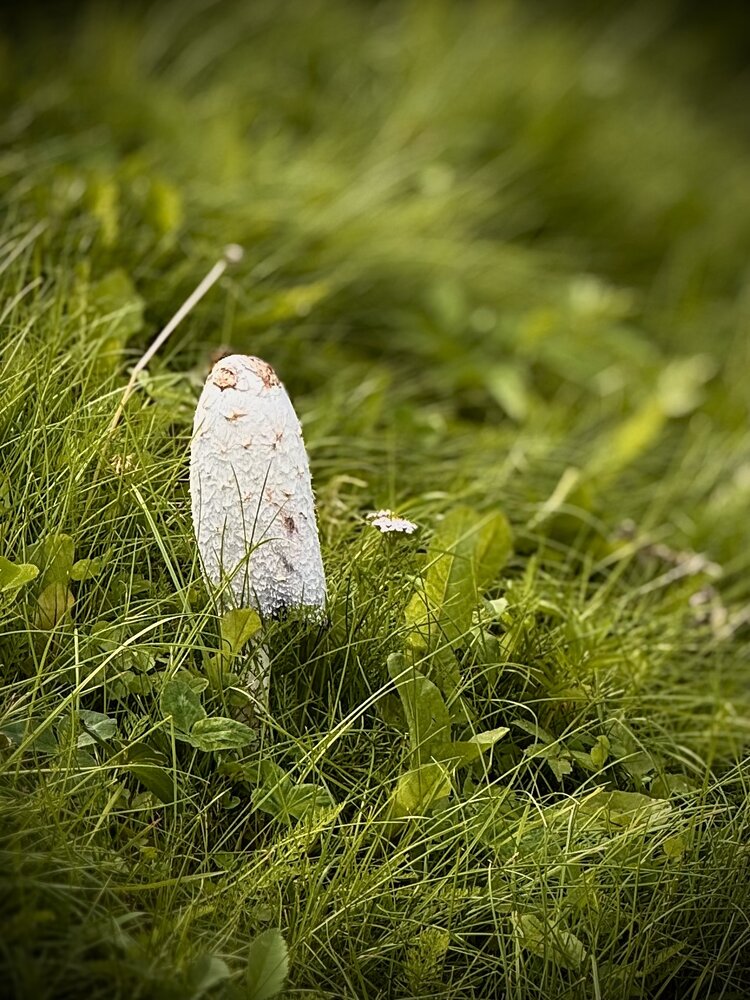 Photograph by Татьяна Смирнова