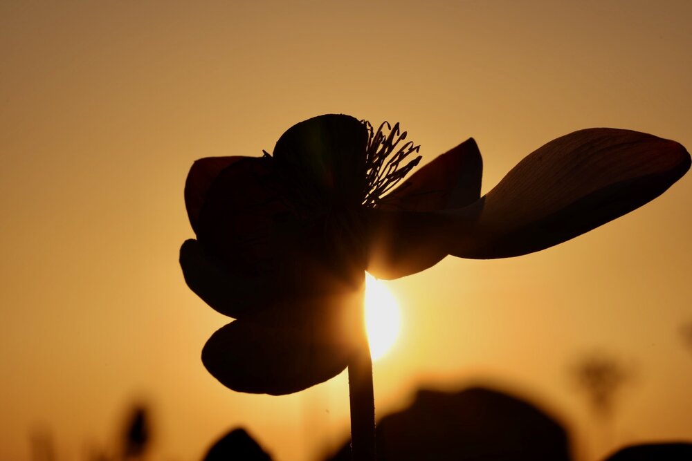 Photograph by Одаренко Ольга