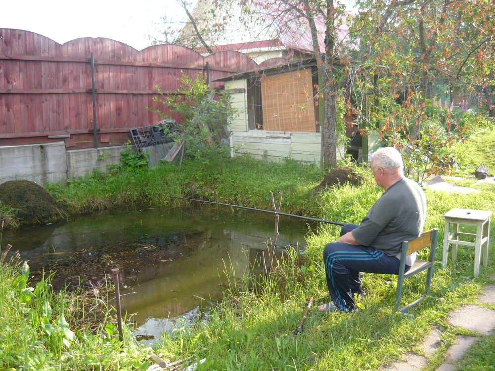 Photo #13946041
