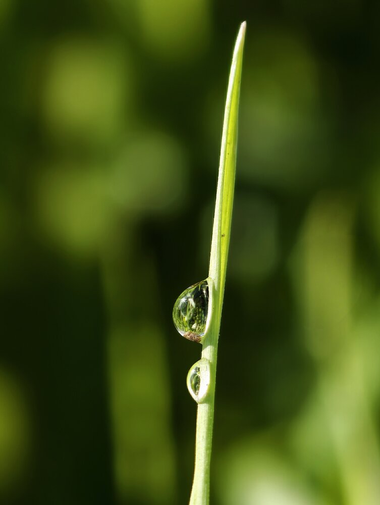 Photograph by Александр Житник