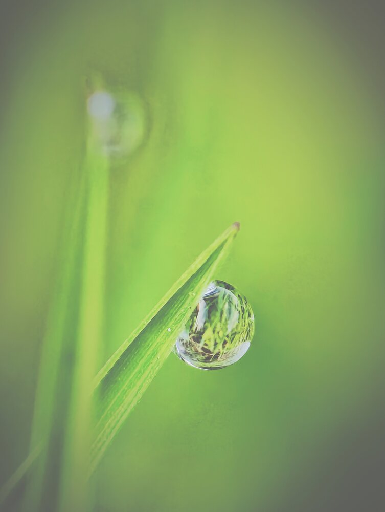 Photograph by Александр Житник